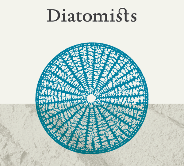 DIATOMISTS SINGULAR BOTAS FINO